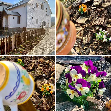 Ostravicky Dvorek Apartma Premysl